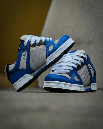 DVS CELSIUS