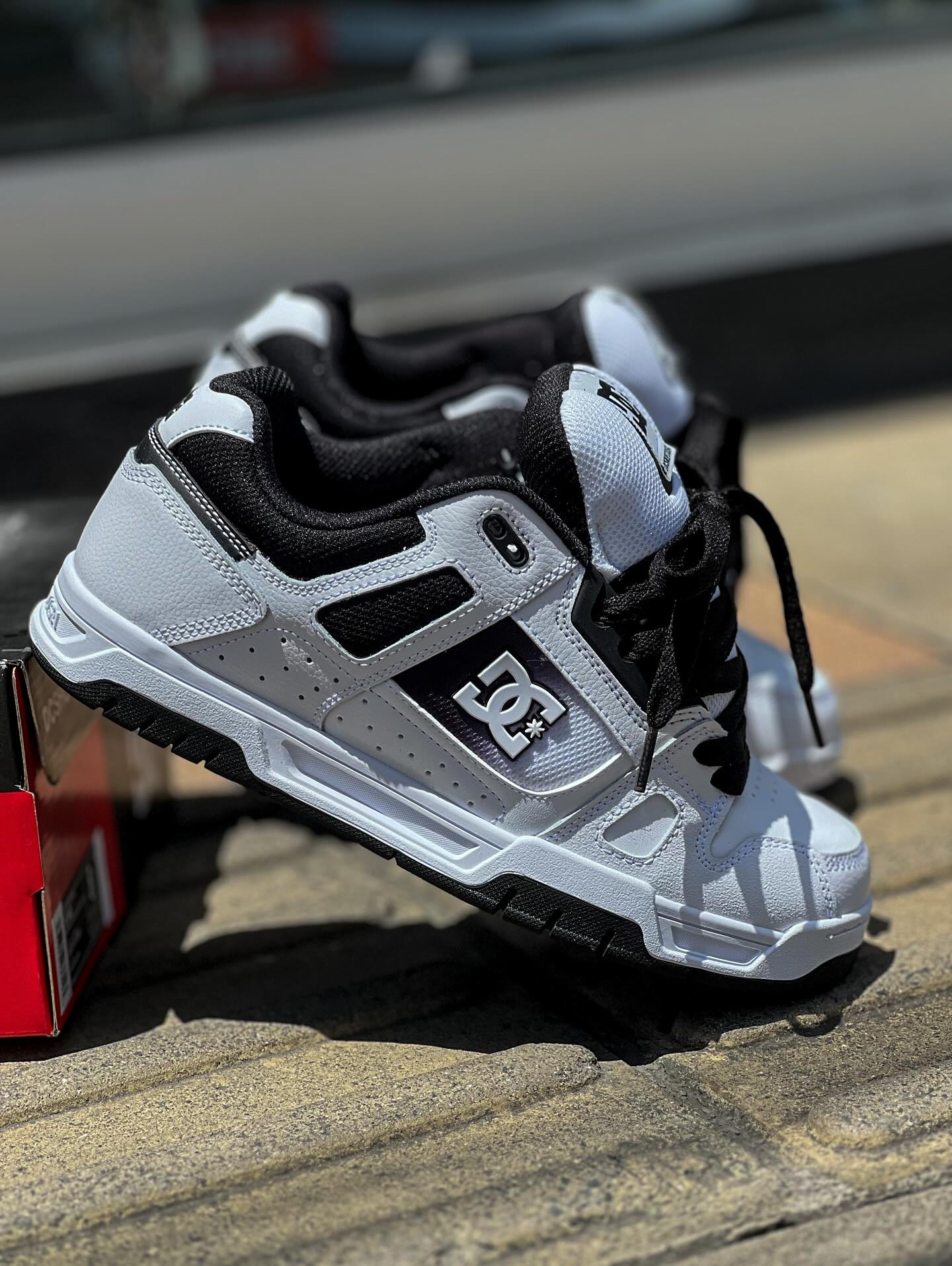 DC SHOES STAG