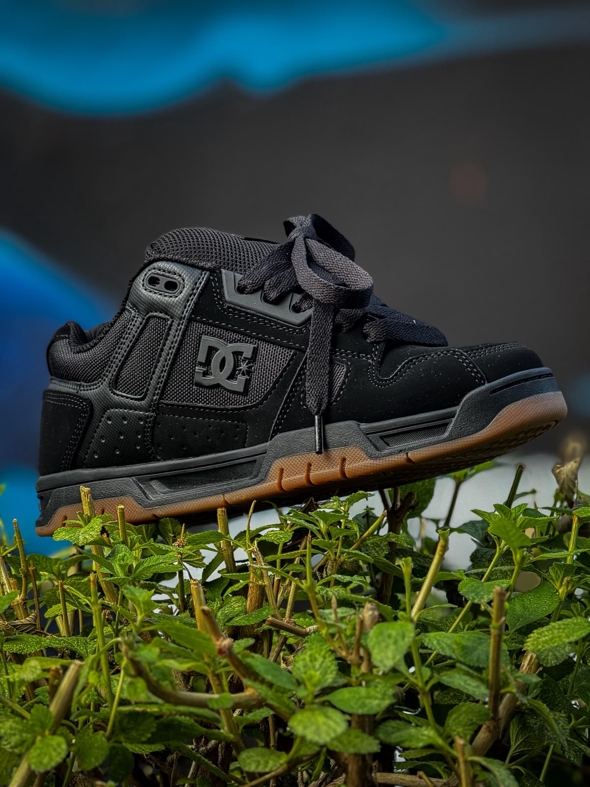 DC SHOES STAG